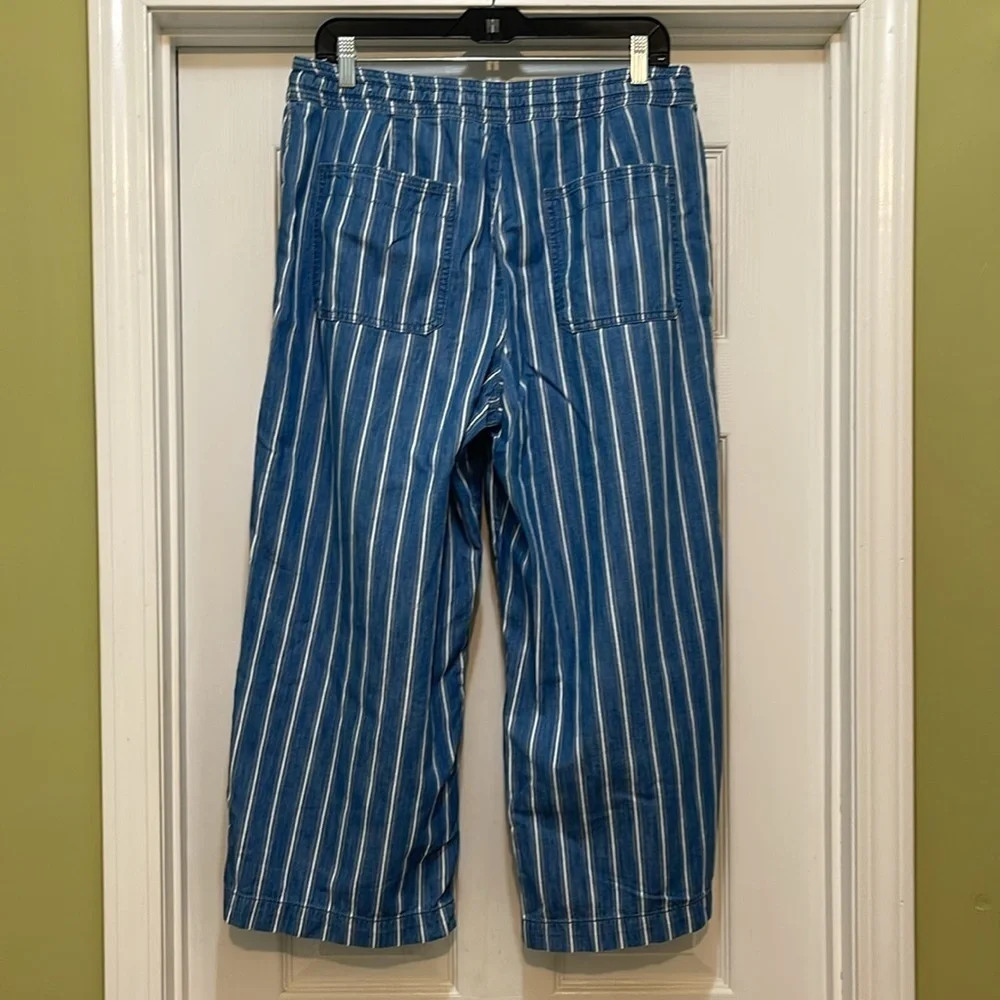 American Eagle - blue & white striped cropped wide leg pant - size L